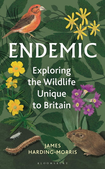 Endemic - JAMES HARDING-MORRIS
