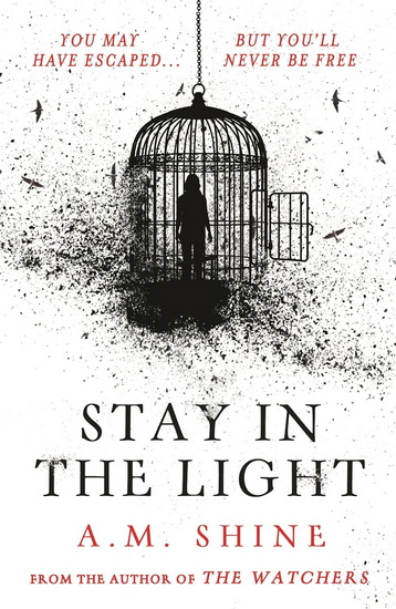 Stay in the Light - A M SHINE