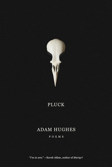 Pluck - ADAM HUGHES