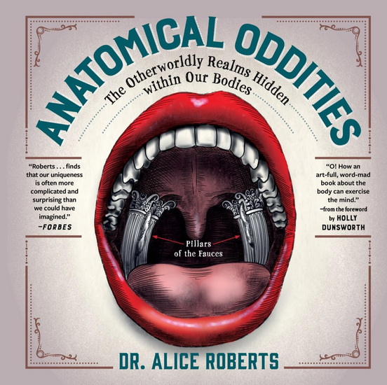 Anatomical Oddities: The Otherworldly Realms Hidden within Our Bodies - ALICE ROBERTS