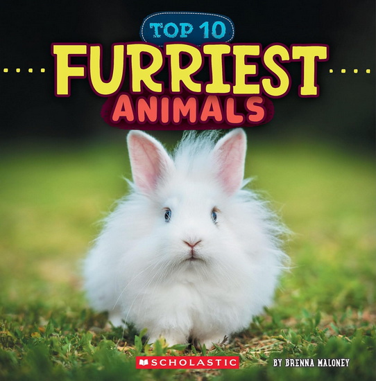 Furriest Animals (Wild World: Top 10) - BRENNA MALONEY
