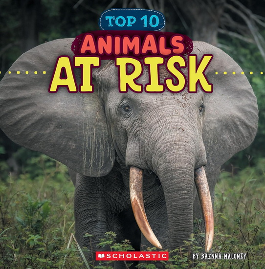 Animals at Risk (Wild World: Top 10) - BRENNA MALONEY