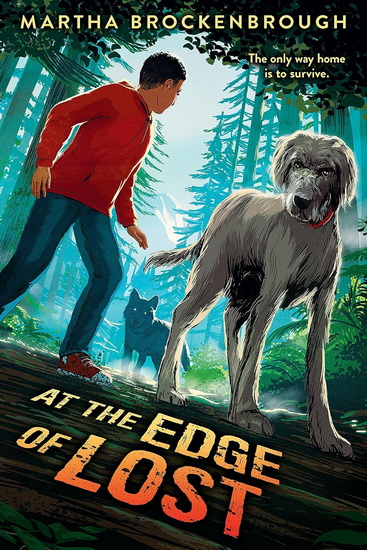 At the Edge of Lost - MARTHA BROCKENBROUGH