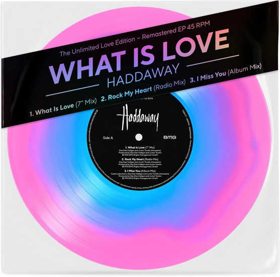 What Is Love (Vinyle 10") - HADDAWAY