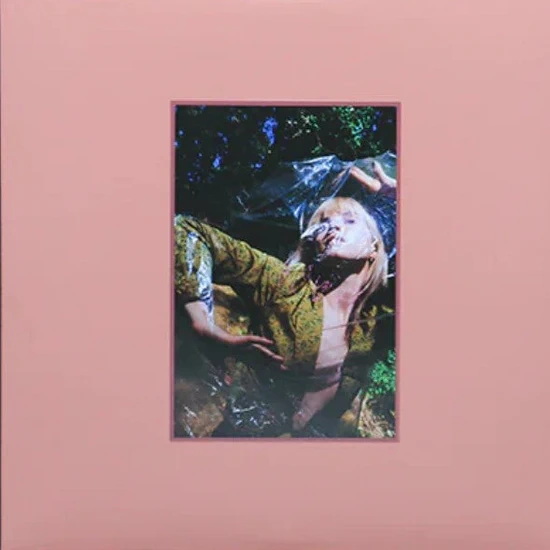 Flowers for Vases + Petals for Armor (3 Vinyles) - HAYLEY WILLIAMS