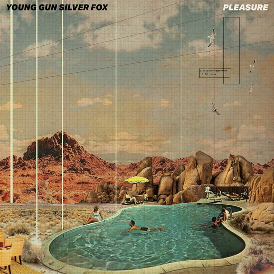 Pleasure (Vinyle Couleur) - YOUNG GUN SILVER FOX