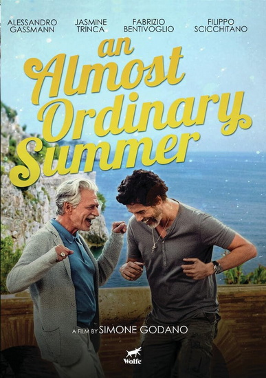 An Almost Ordinary Summer (DVD)