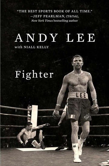 Fighter - ANDY LEE