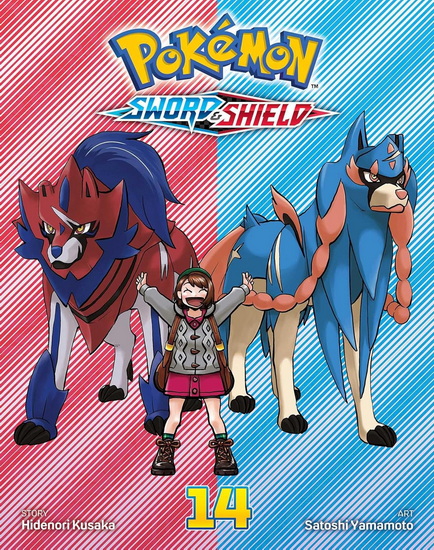 Pokémon: Sword & Shield, Vol. 14 - HIDENORI KUSAKA