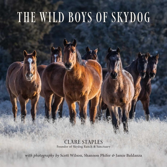 Wild Boys of Skydog - CLARE STAPLES