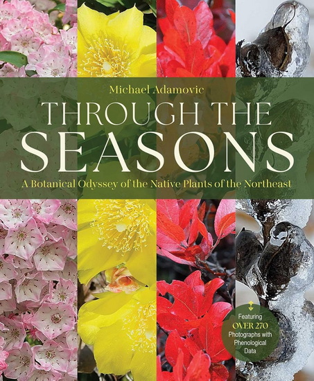 Through the Seasons - MICHAEL ADAMOVIC