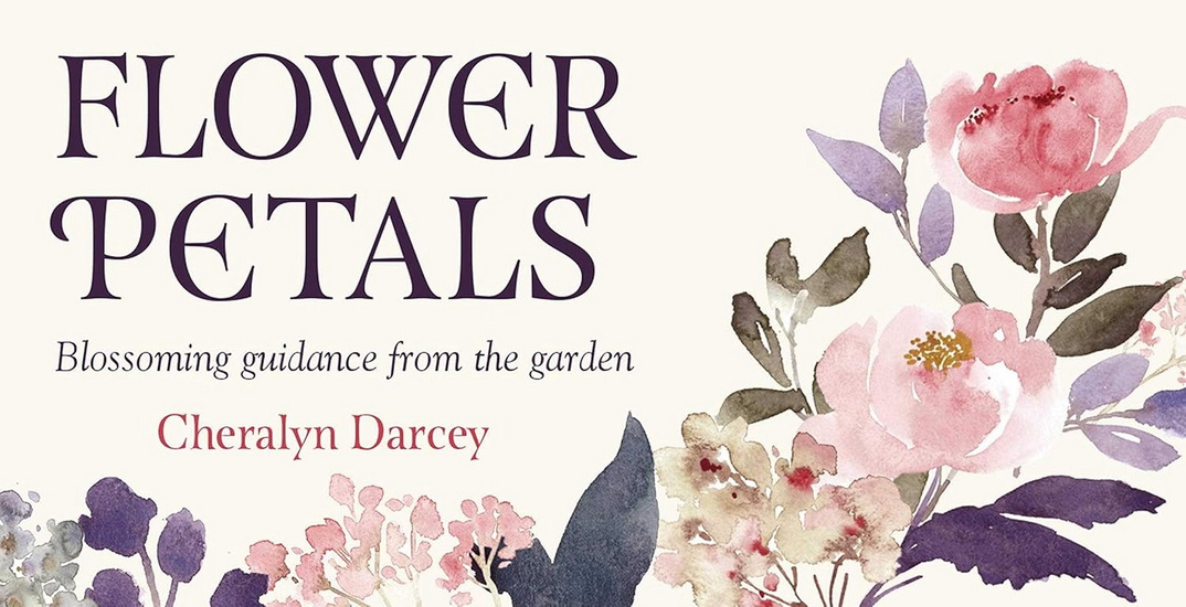 Flower Petals - CHERALYN DARCEY