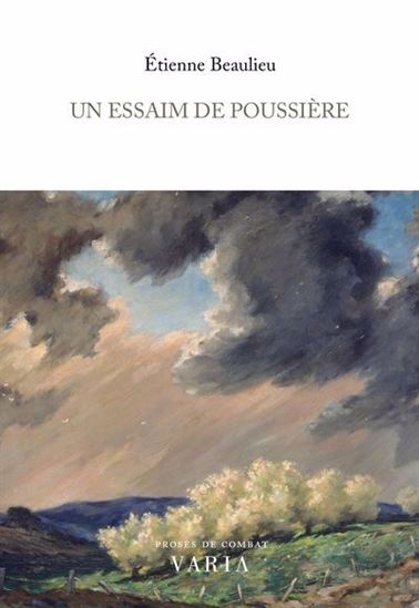 Un essaim de poussière - ÉTIENNE BEAULIEU