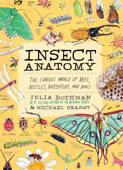Insect Anatomy: The Curious World of Bees, Beetles, Butterflies, and Bugs - JULIA ROTHMAN - MICHAEL HEARST