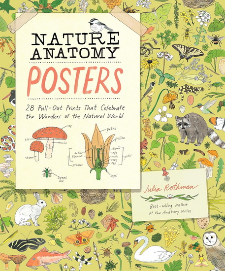 Nature Anatomy Posters: 28 Pull-Out Prints That Celebrate the Wonders of the Natural World - JULIA ROTHMAN