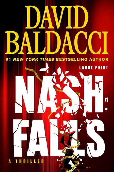 Nash Falls - DAVID BALDACCI