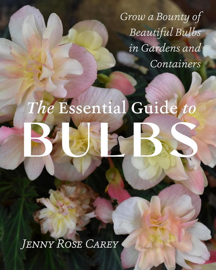 The Essential Guide to Bulbs: Grow a Bounty of Beautiful Bulbs in Gardens and Containers - JENNY ROSE CAREY