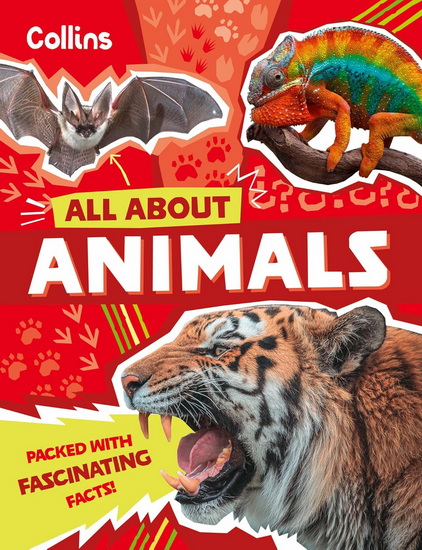 Animals: Discover fascinating facts about wildlife (All About) - COLLECTIF