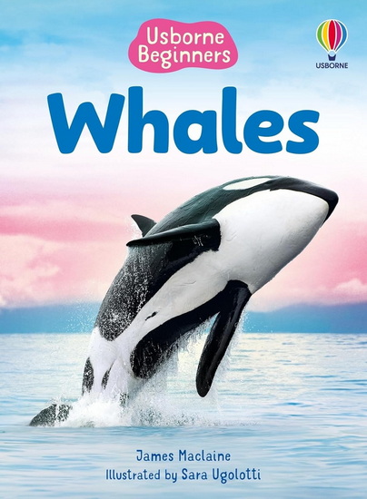 Beginners Whales - JAMES MACLAINE - SARA UGOLOTTI