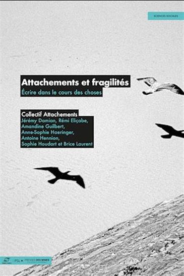 Attachements et fragilités - COLLECTIF