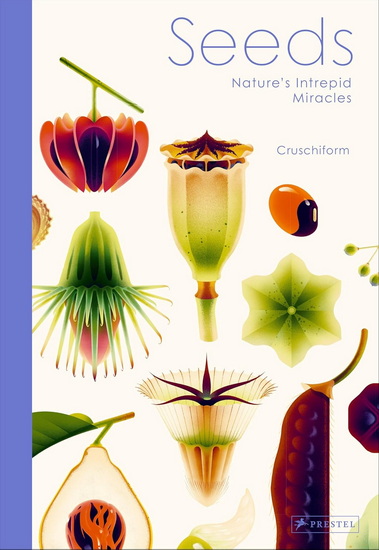 Seeds: Nature&#39;s Intrepid Miracles - CRUSCHIFORM