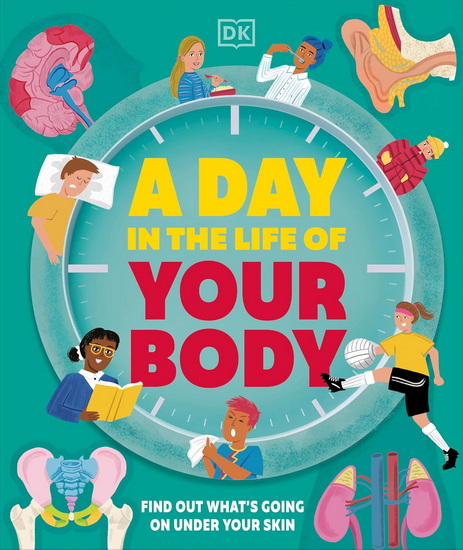 A Day in the Life of Your Body: Find Out What&#39;s Going on Under Your Skin - COLLECTIF