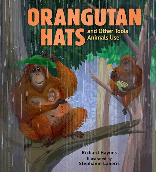 Orangutan Hats and Other Tools Animals Use - RICHARD HAYNES - STEPHANIE LABERIS