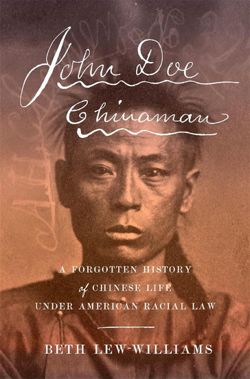 John Doe Chinaman: A Forgotten History of Chinese Life under American Racial Law - BETH LEW-WILLIAMS