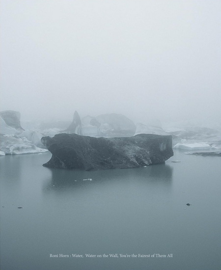 Roni Horn: Water Water On the Wall, You’re the Fairest of Them All - COLLECTIF