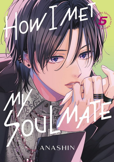How I Met My Soulmate 5 - ANASHIN