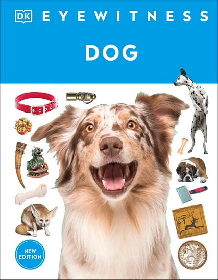 Eyewitness Dog - COLLECTIF