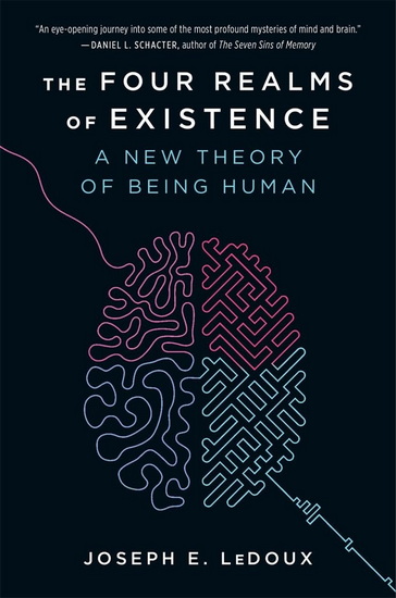 The Four Realms of Existence: A New Theory of Being Human - JOSEPH E LEDOUX