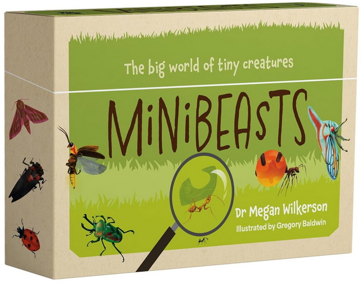 Minibeasts: The big world of tiny creatures - MEGAN WILKERSON - GREGORY BALDWIN