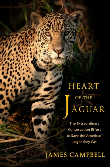 Heart of the Jaguar: The Extraordinary Conservation Effort to Save the Americas&#39; Legendary Cat - JAMES CAMPBELL