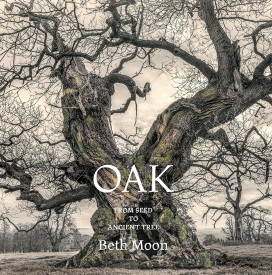 Oak: From Seed to Ancient Tree - BETH MOON