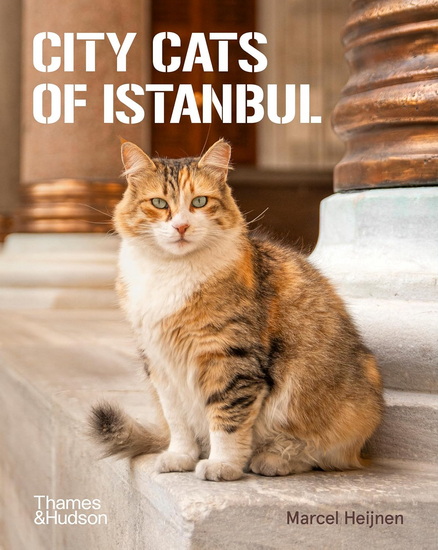 City Cats of Istanbul - MARCEL HEIJNEN