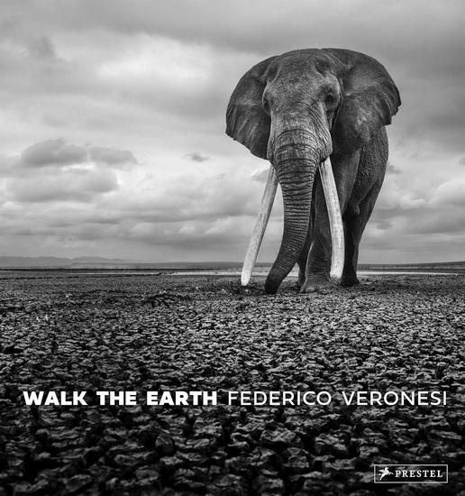 Walk the Earth: Photographs of Africa&#39;s Last Great Elephants - FEDERICO VERONESI