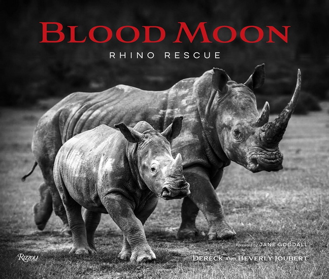 Blood Moon: Rescuing the Rhino - DERECK JOUBERT - BEVERLY JOUBERT