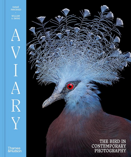 Aviary: The Bird in Contemporary Photography - WILLIAM A EWING - DANAÉ PANCHAUD