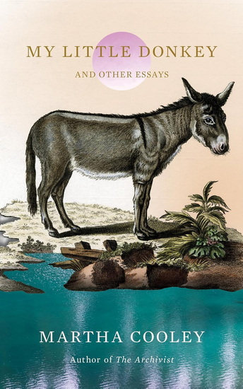 My Little Donkey: And Other Essays - MARTHA COOLEY