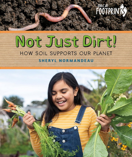 Not Just Dirt!: How Soil Supports Our Planet - SHERYL NORMANDEAU