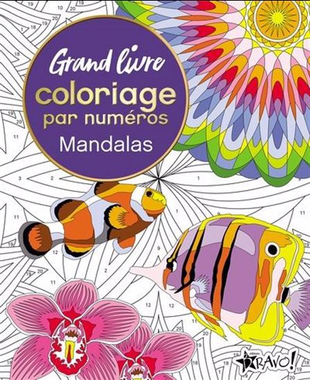 Mandalas : grand livre - DAVID WOODROFFE