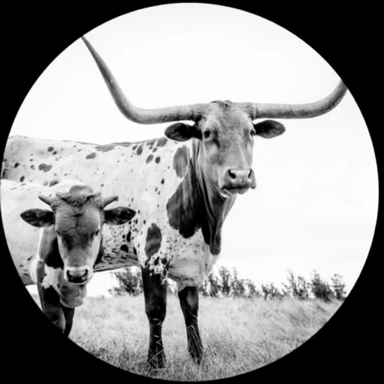West Texas Blues (Picture Disc)(Vinyle) - MIKE FLANIGIN