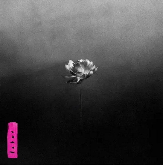 Lotus - LITTLE SIMZ