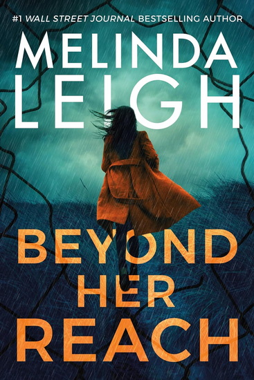 Beyond Her Reach - MELINDA LEIGH