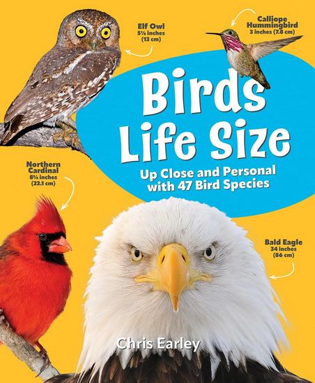 Birds Life Size: Up Close and Personal with 47 Bird Species - CHRIS EARLEY