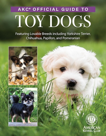 AKC Official Guide to Toy Dogs: Featuring Lovable Breeds including Yorkshire Terrier, Chihuahua, Papillon, and Pomeranian - COLLECTIF