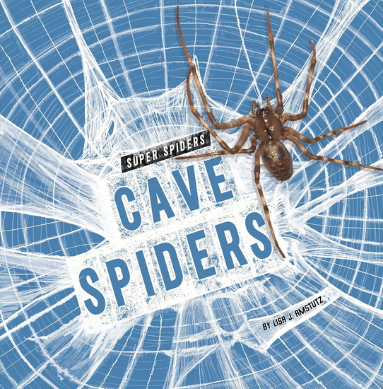 Cave Spiders - LISA J AMSTUTZ