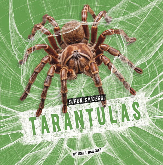 Tarantulas - LISA J AMSTUTZ