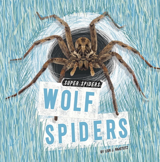 Wolf Spiders - LISA J AMSTUTZ